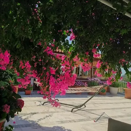 Hotel Akdeniz *